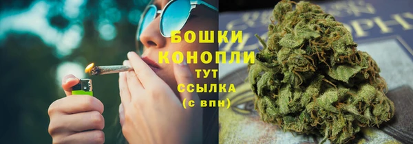 дживик Богородск