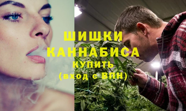 дживик Богородск
