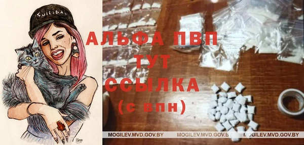 дживик Богородск