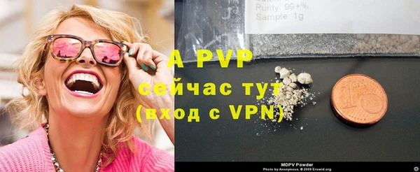 дживик Богородск